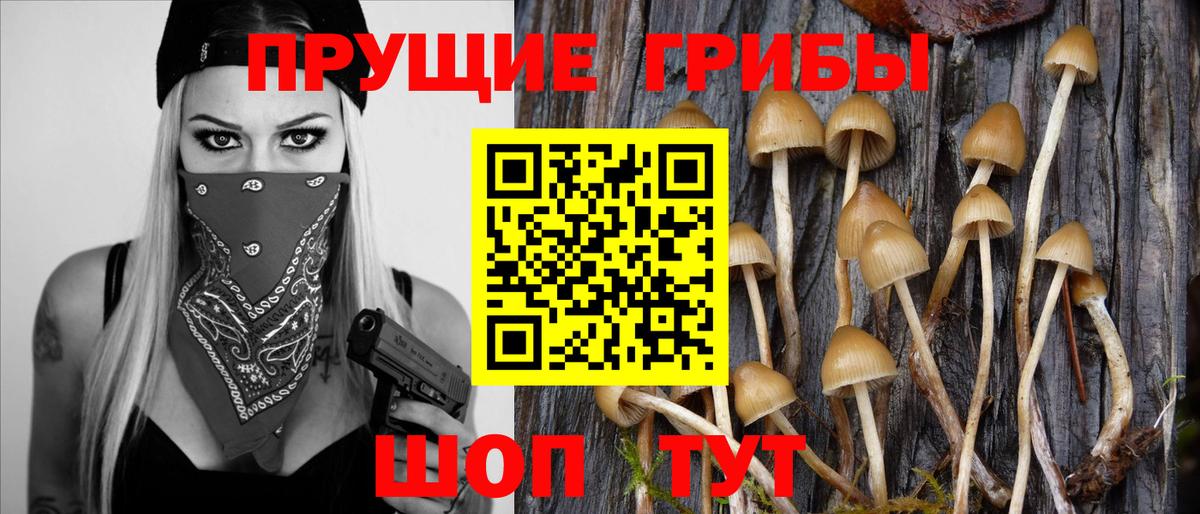 Бошки Шишки  ГАШ  Сальск  МЕФ кристаллы  Вход с VPN 