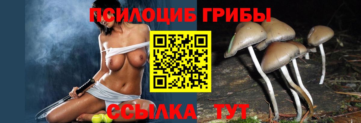 Псилоцибиновые грибы GOLDEN TEACHER  Псилоцибиновые грибы мицелий  Вход с VPN  Сальск 